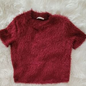 Zara Wine Colored Top